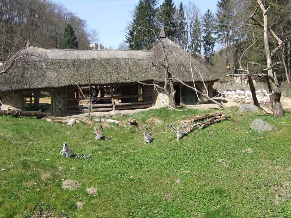 Дом в деревне в Чехии