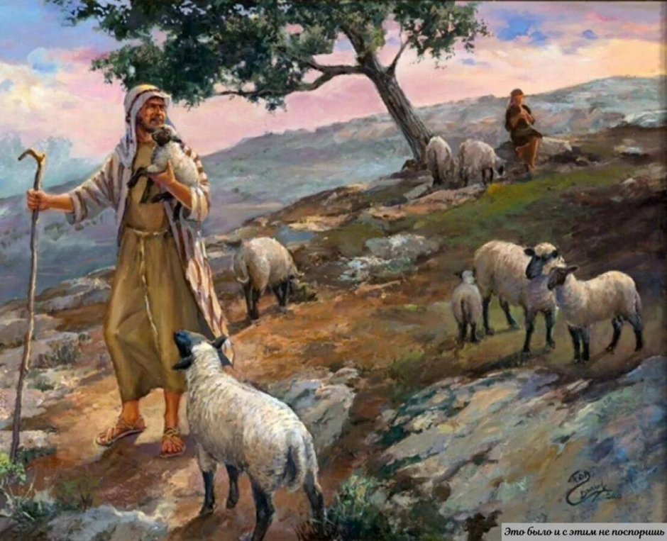Пастух овцы древний Израиль живопись