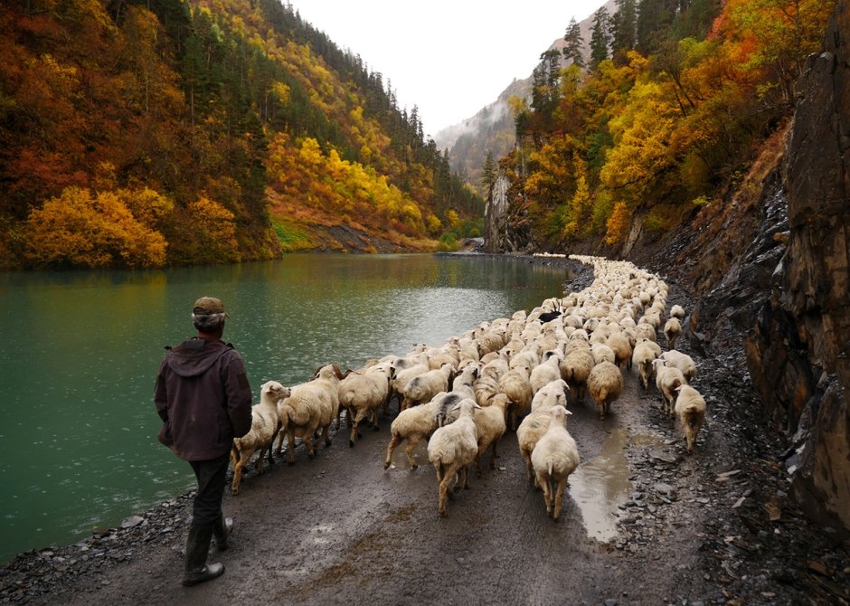 Цхинвал озеро коз Южная Осетия