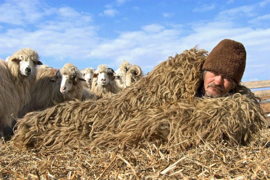 Пастух Баранов
