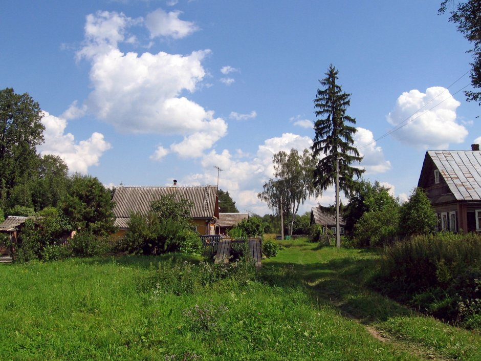 Деревня Балашово Новгородская область