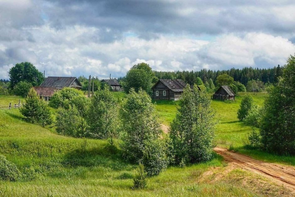 Деревня Лебедево Тверская область