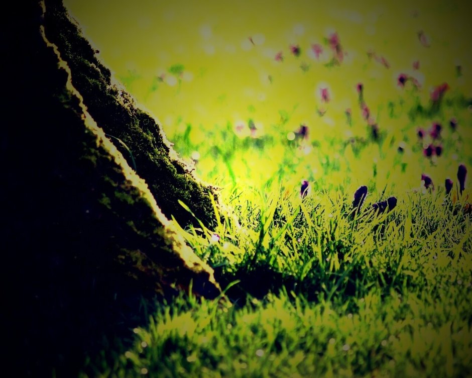 Кулон в траве