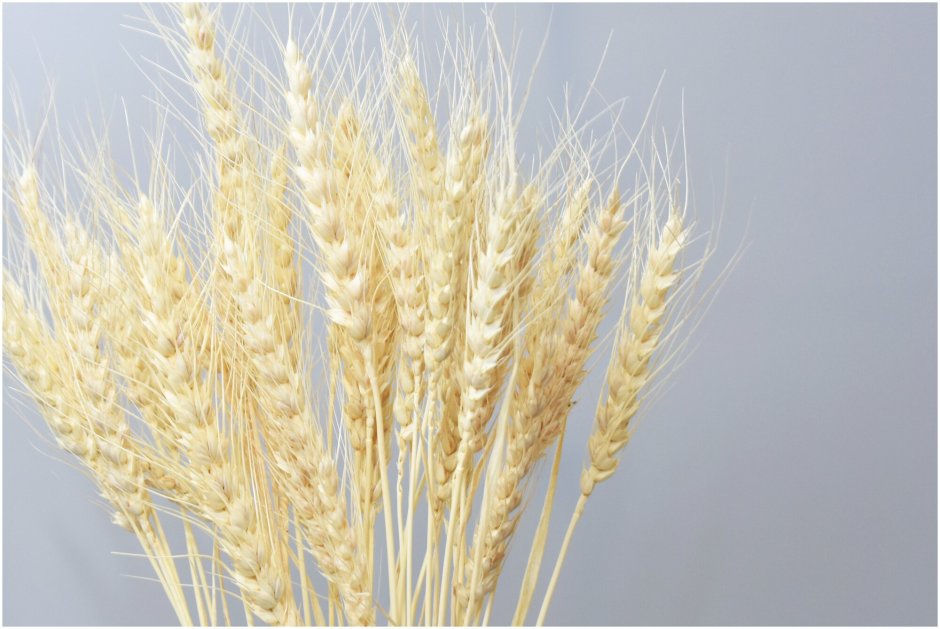 Натуральный пшеничный