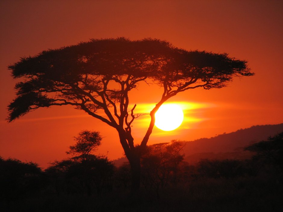 Рассвет в Африке