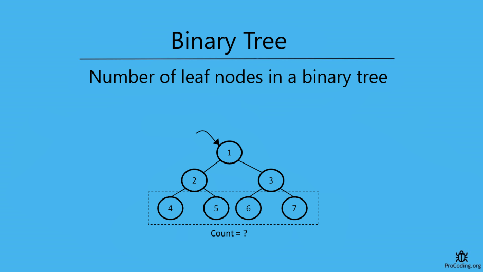 Binary Tree + Leaf and