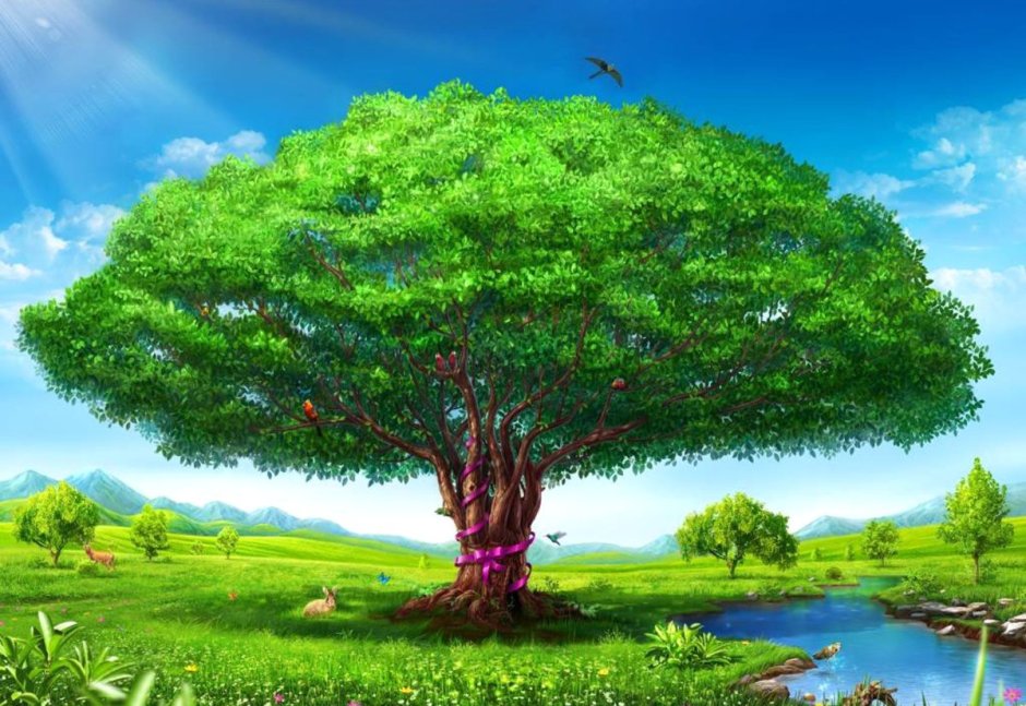 Красивое дерево