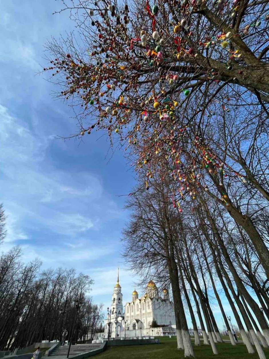 Пасхальное дерево во Владимире