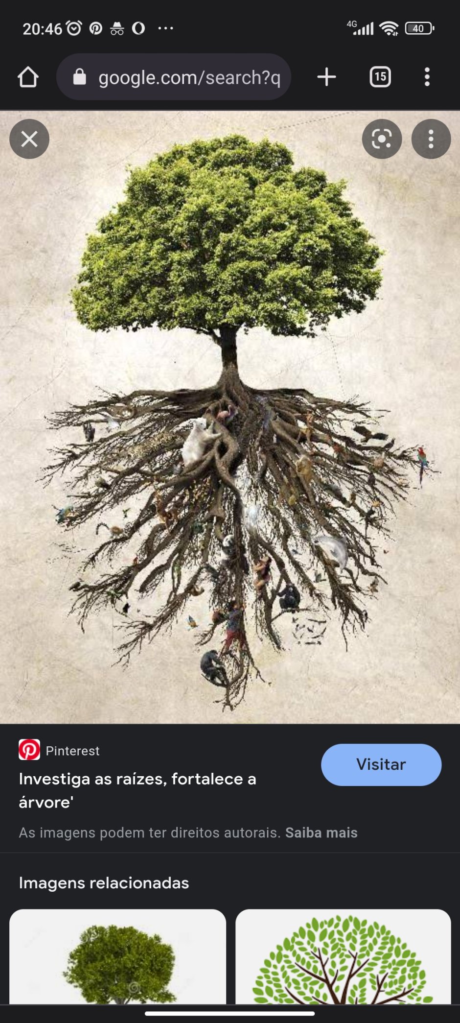 Дерево жизни с корнями