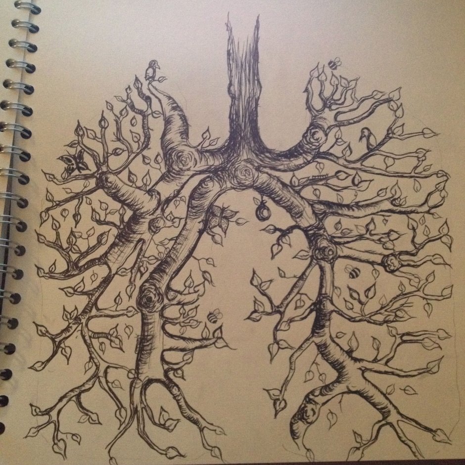 Дерево из лёгких