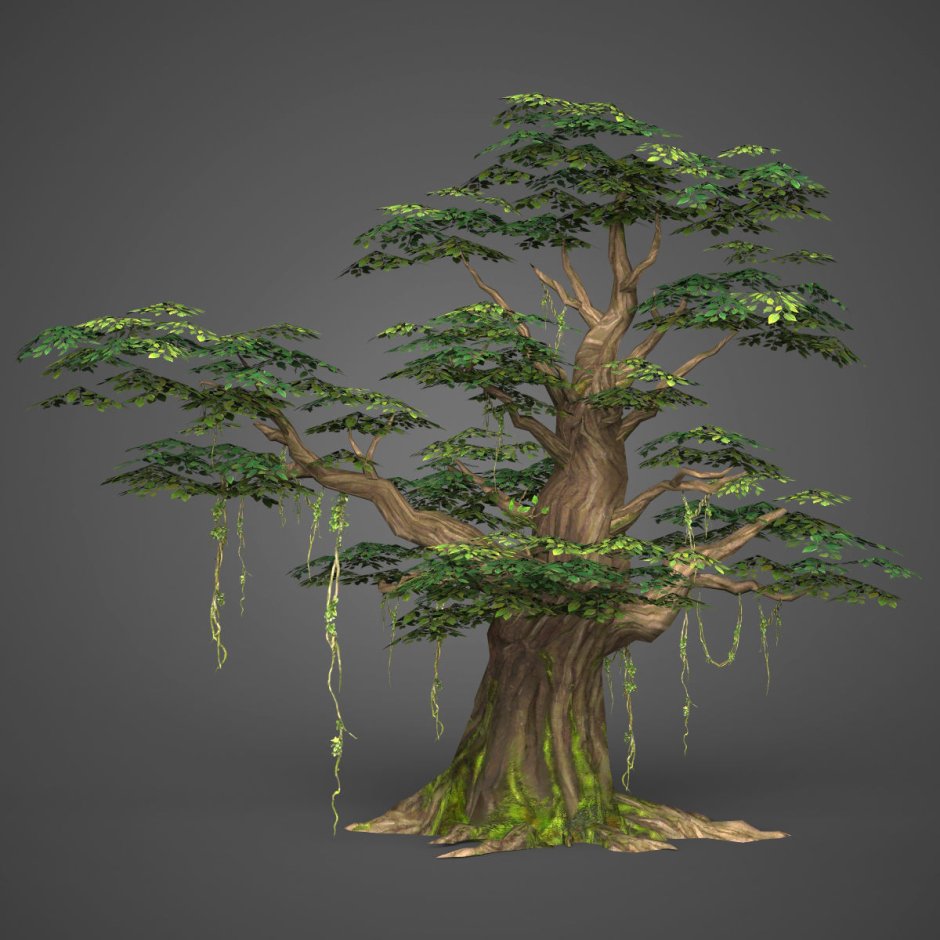 Ironwood дерево