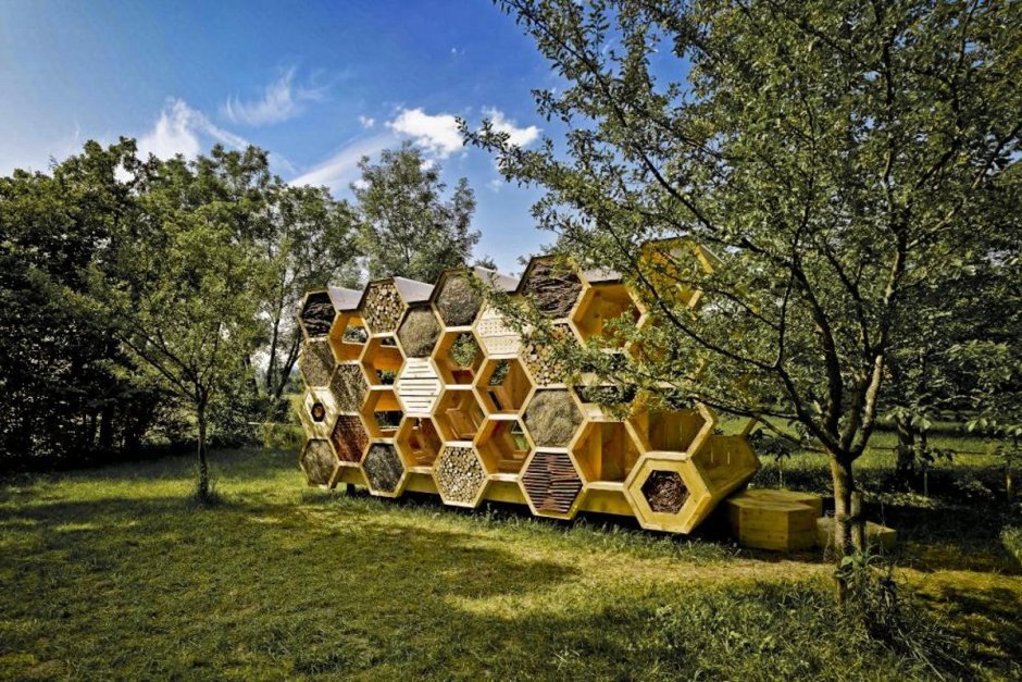 «Дом пчелиных сот» Райт