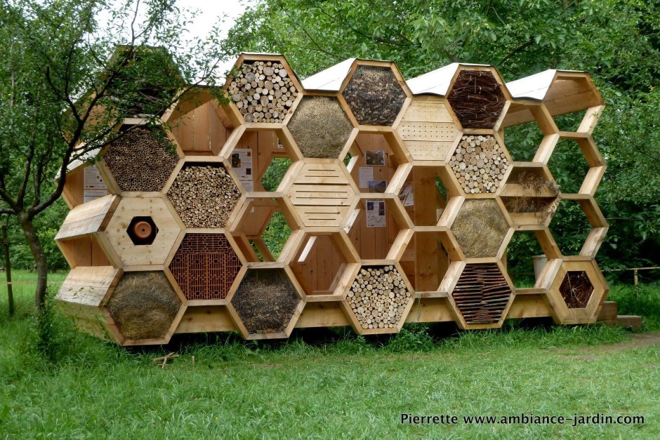 Соты пчелиные домик