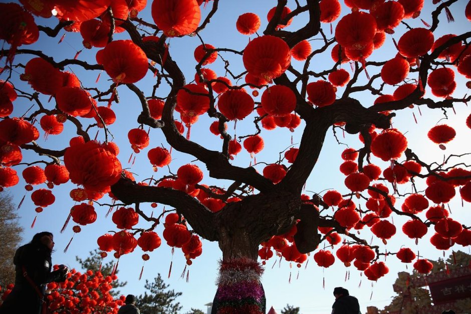 Дерево света в Китае на новый год