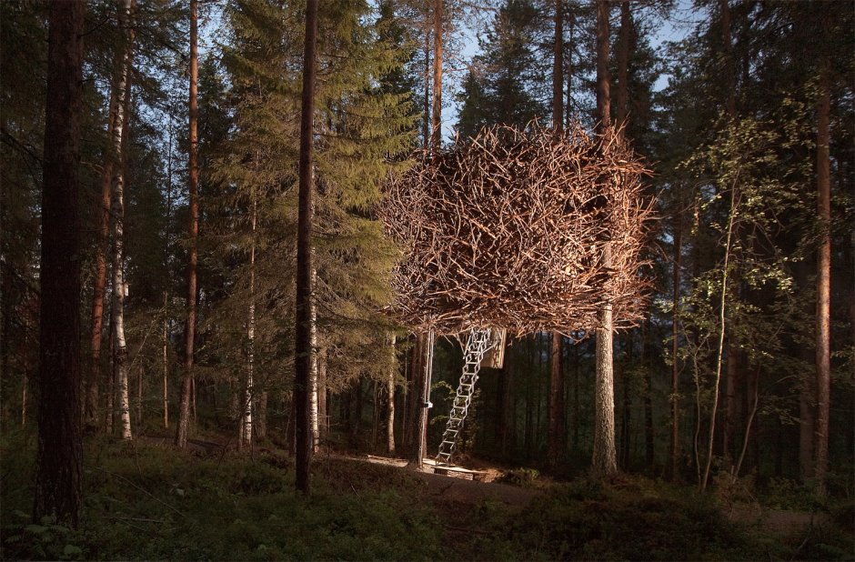 Tree Hotel, Харадс, Швеция гнездо