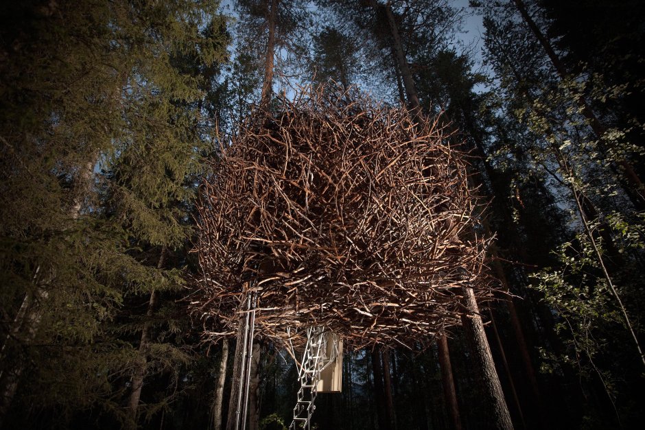 Treehotel (Швеция) Птичье гнездо