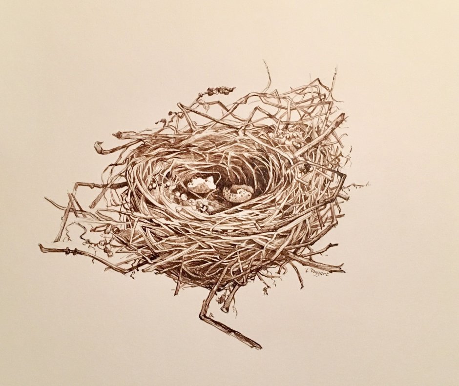 Стилизованное Птичье гнездо