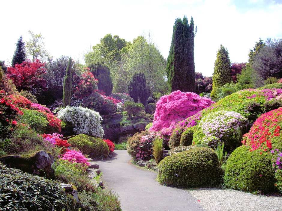 Ботанический сад пейзажный стиль