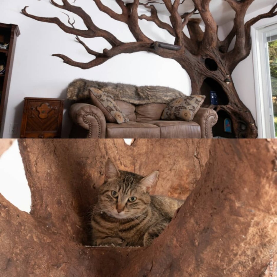 Дерево для кошки в интерьере