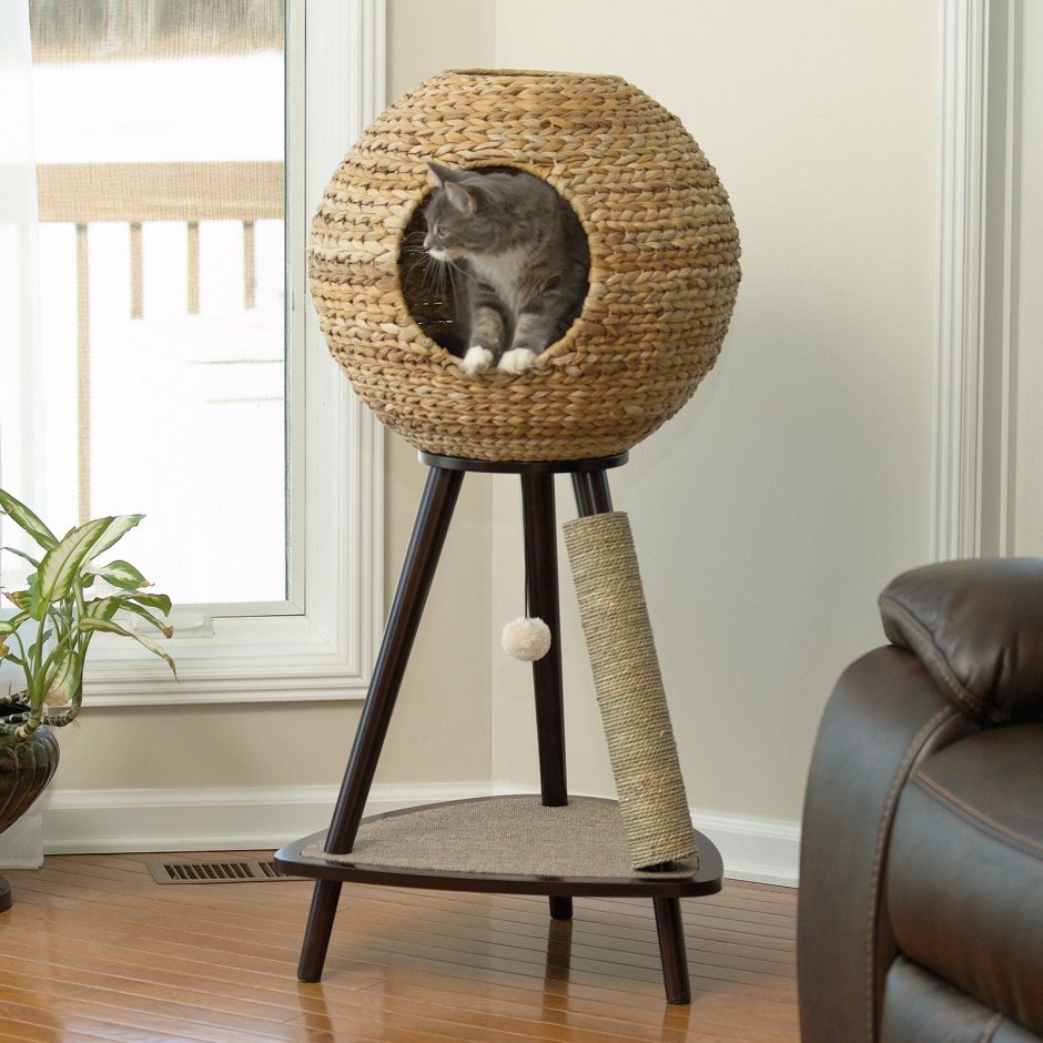 Дизайнерские домики для кошек