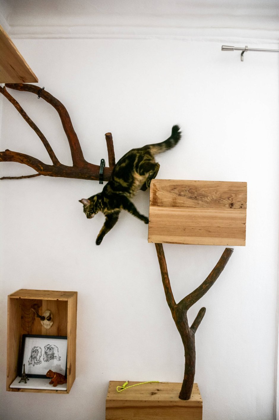 Домик для кошки из ствола дерева