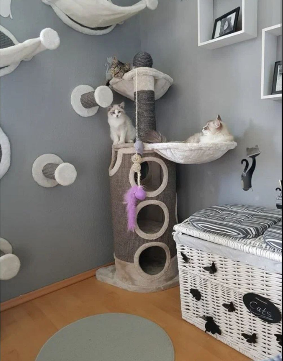 Игровая комната для кошек