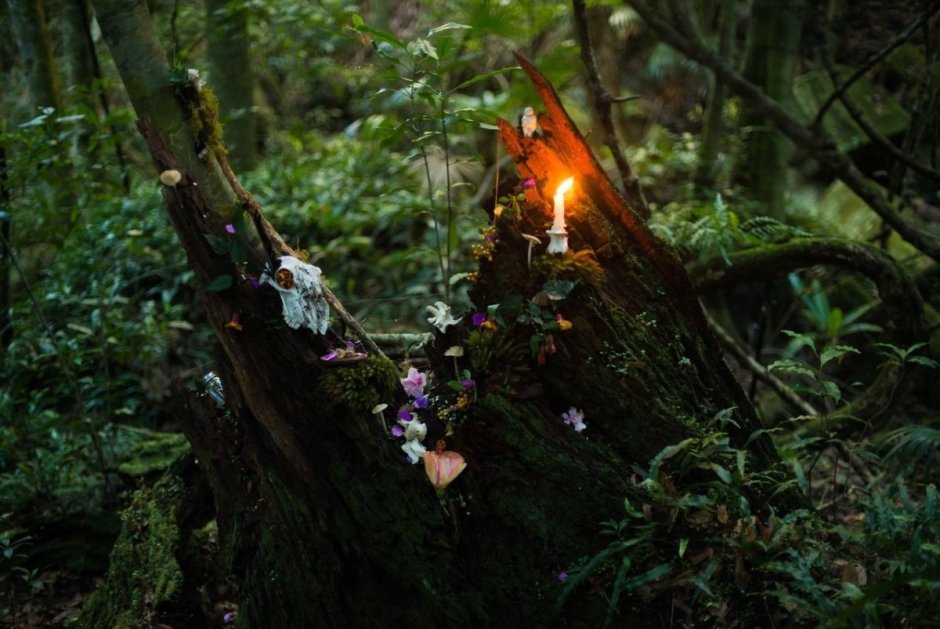 Ритуал в лесу