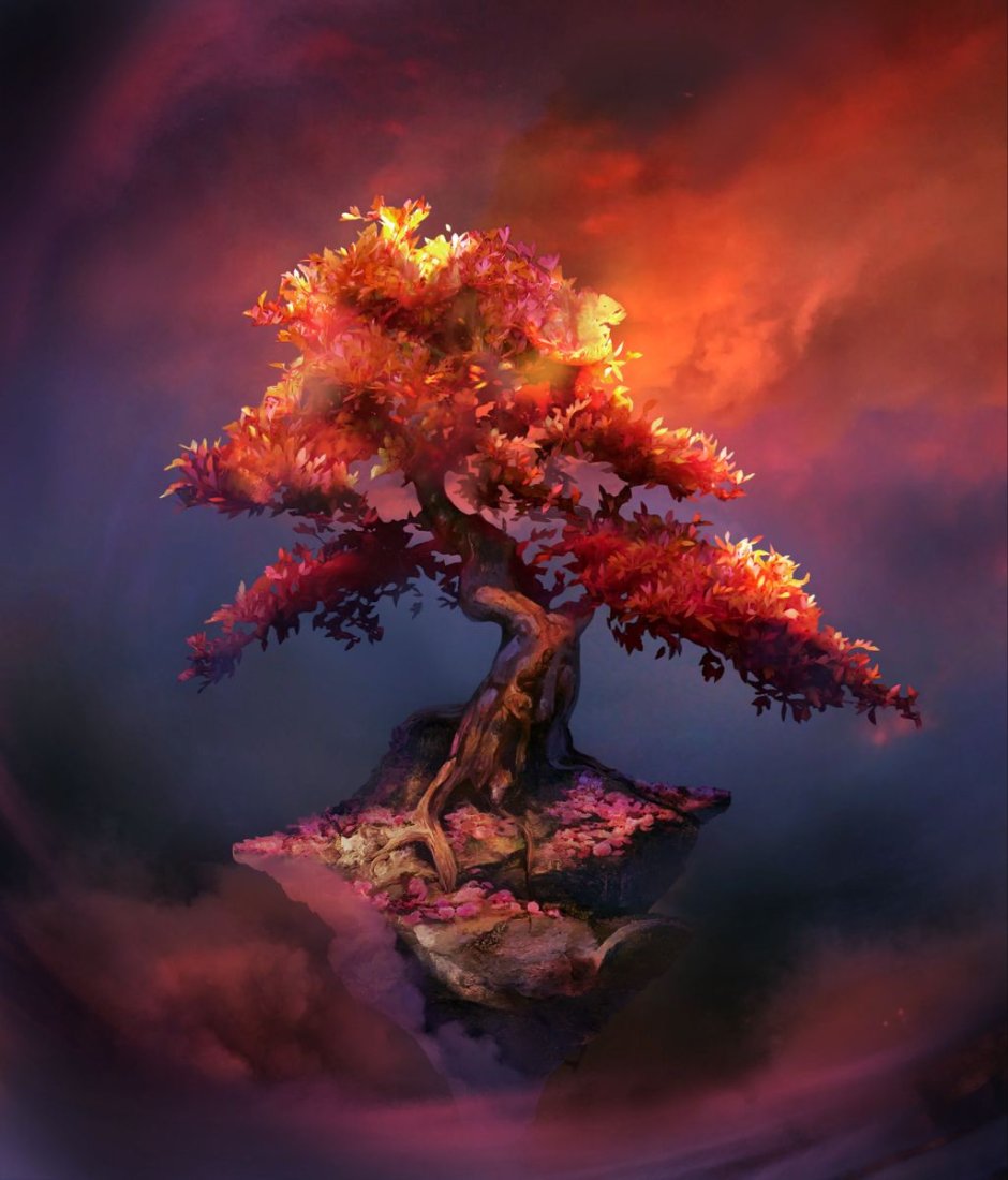 Горящее дерево секрет небес