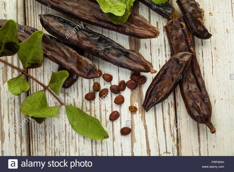 Стручки шоколадного дерева