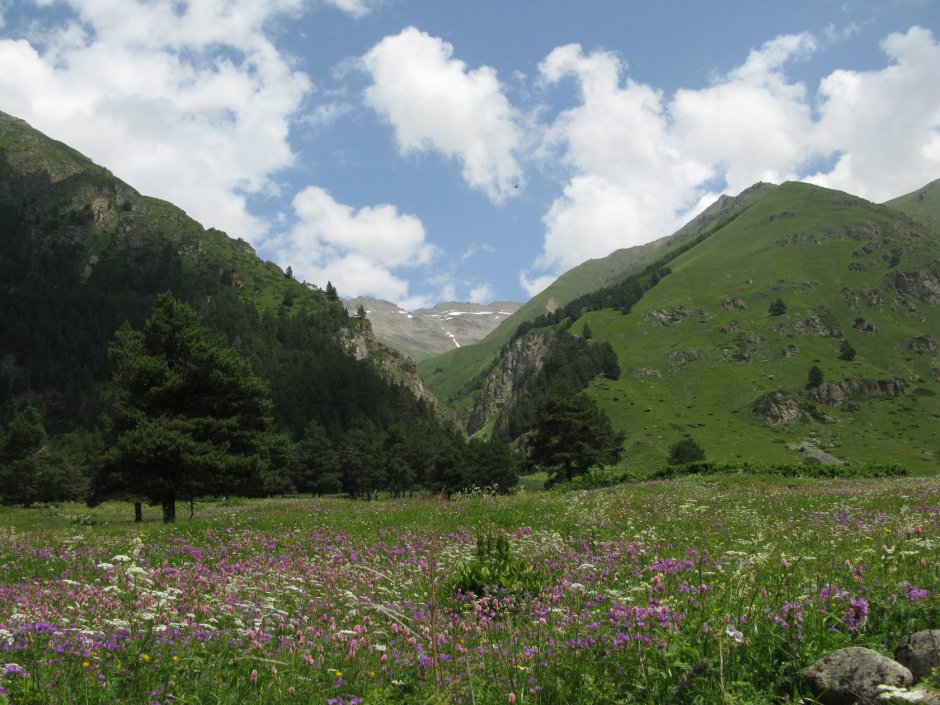 Альпийские Луга Карачаево-Черкесии