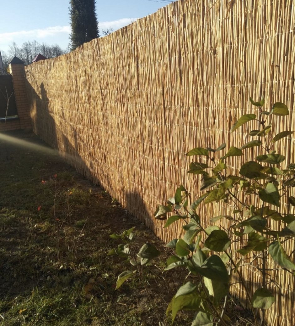 Бамбуковый забор Леруа