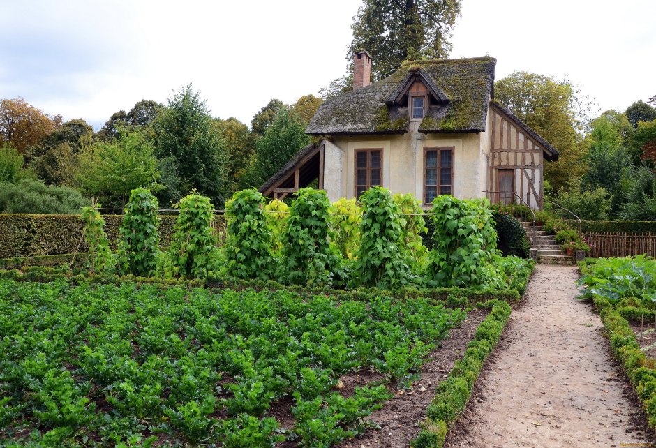 Пермакультурный сад Франция