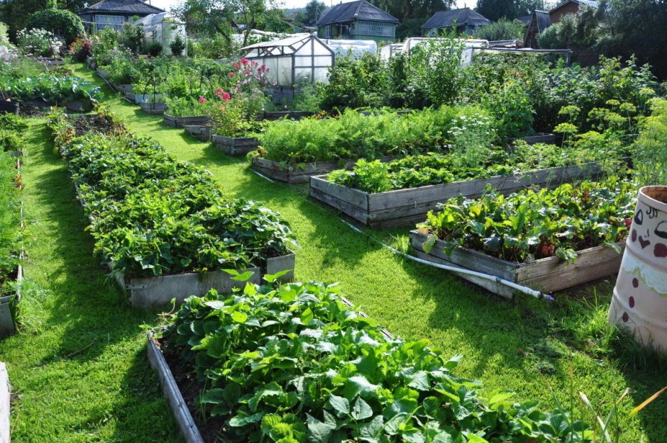 Пермакультурный сад и огород