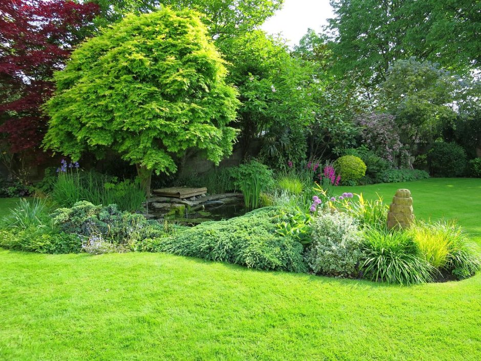 Английский сад с туями
