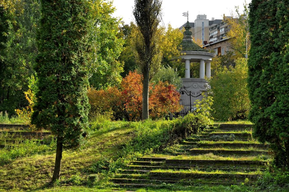 Ботанический сад Цицина
