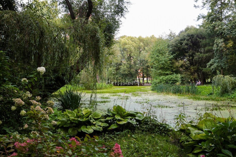 Ботанический сад МГУ имени м. в. Ломоносова «Аптекарский огород»