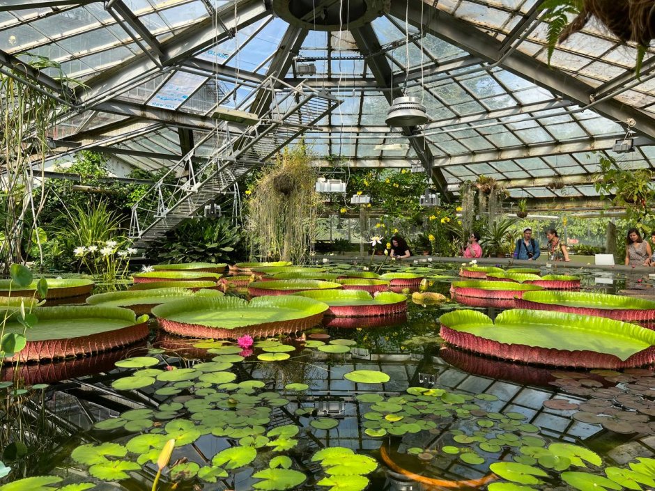 Водная оранжерея ботанического сада