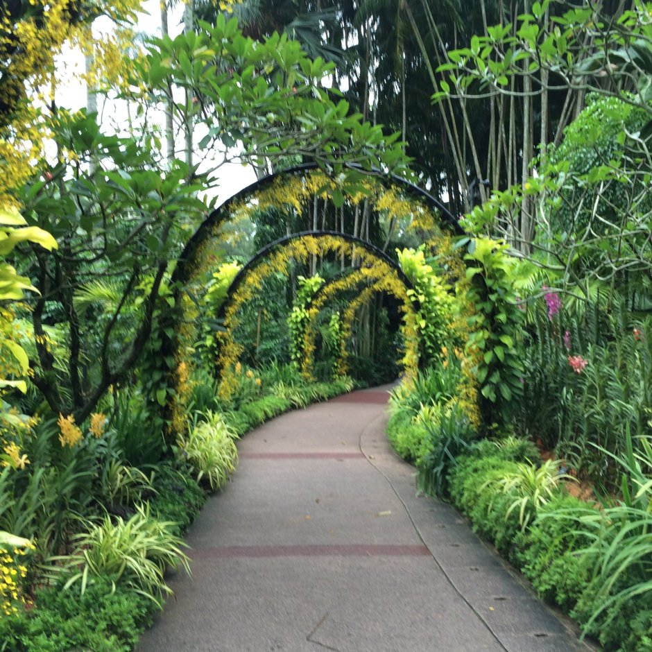 Ботанический сад Эннио