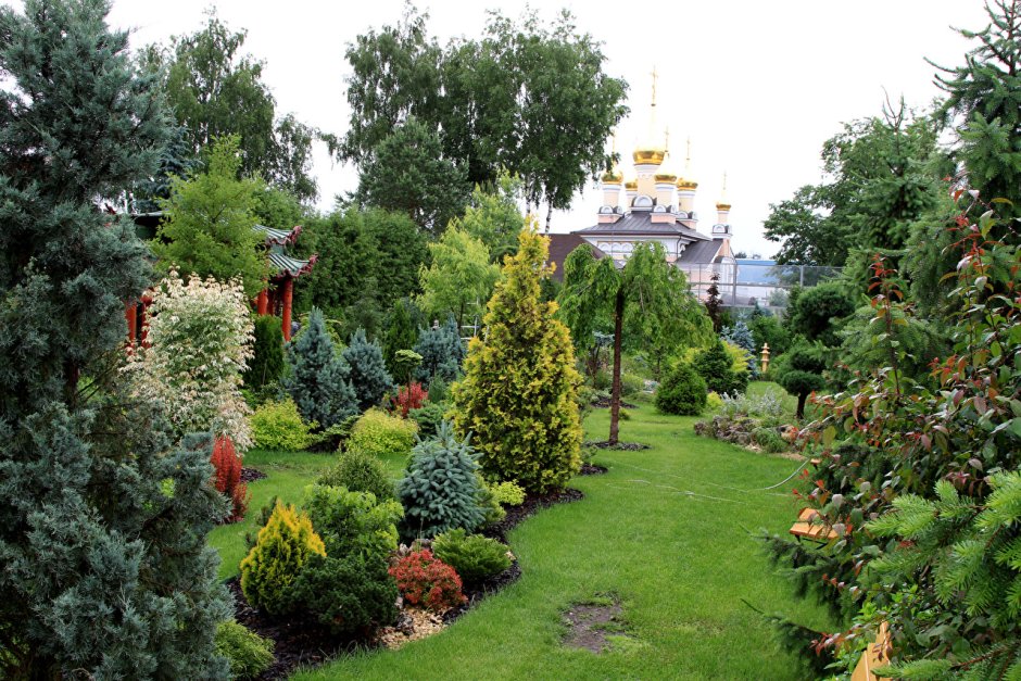 Сад Воловик Татьяны в Москве