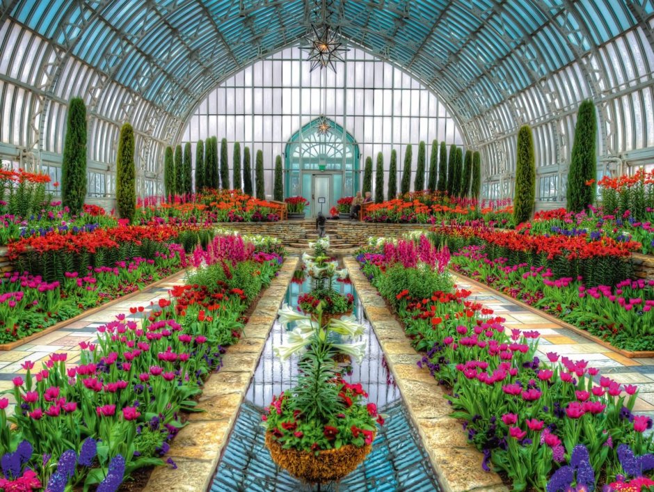 Калининград Ботанический сад розарий
