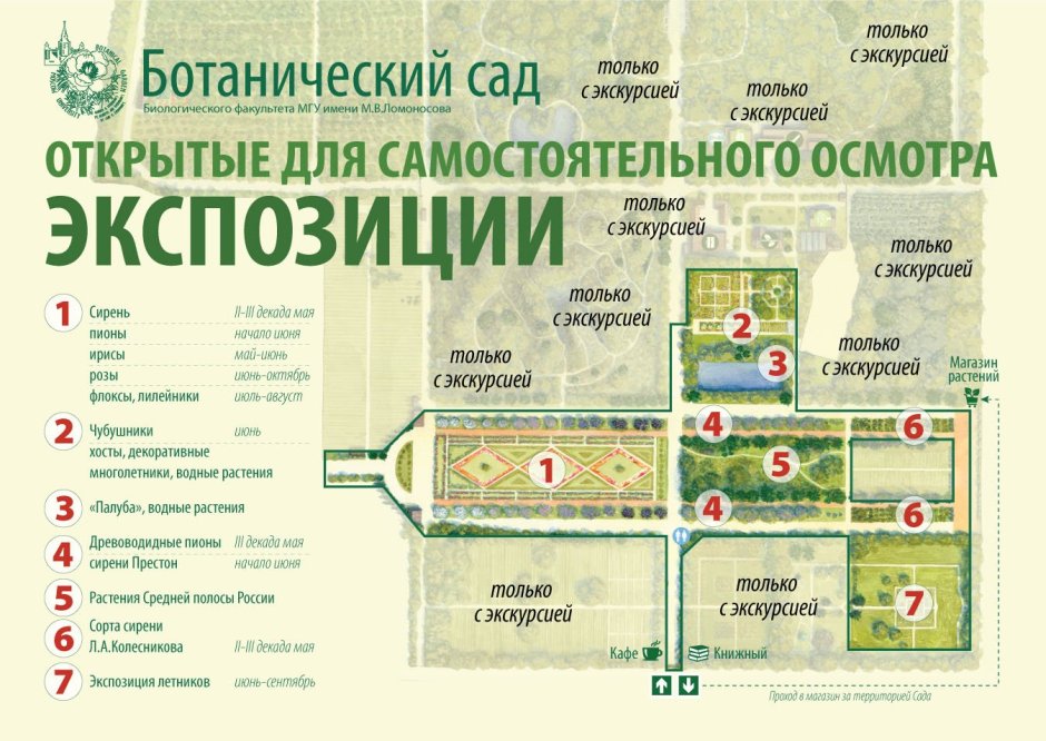 Ботанический сад биологического факультета МГУ
