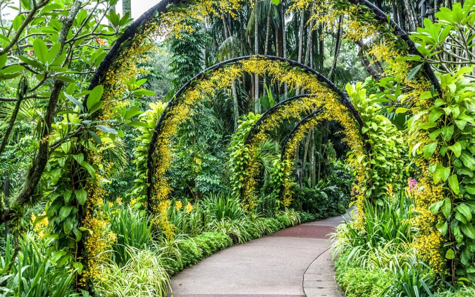 Ботанический сад Сингапура имбирный сад