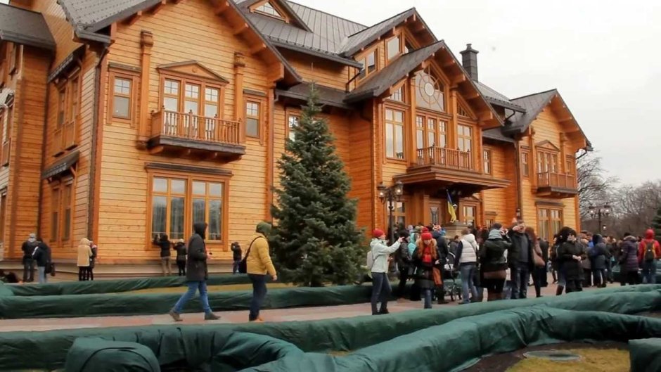 Штурм резиденции Януковича Межигорье