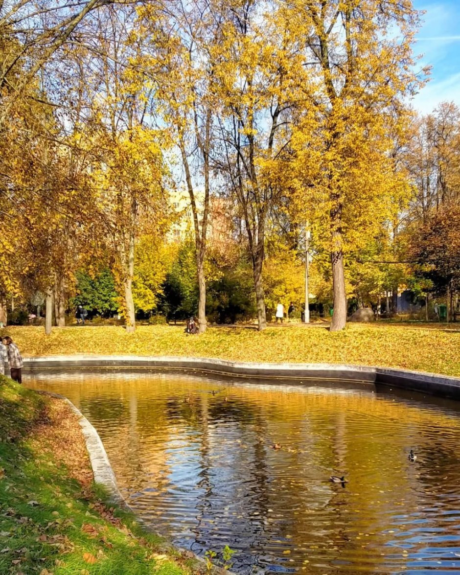 Краснопресненские пруды в парк красная Пресня
