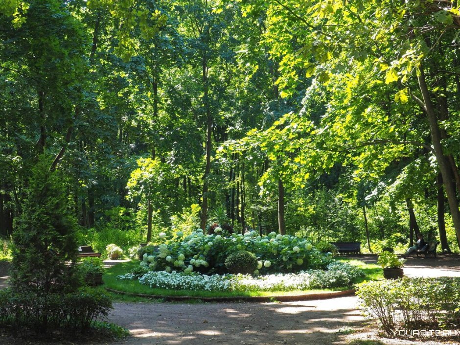 Нескучный сад в парке Горького