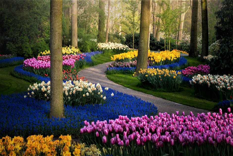 Королевский парк цветов - Keukenhof