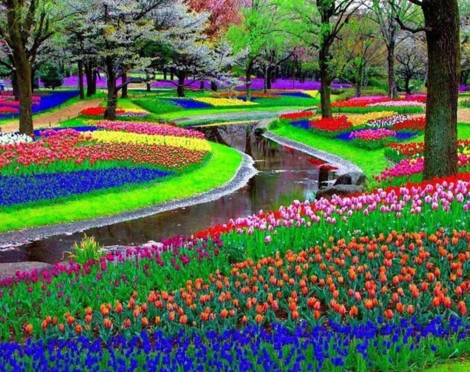 Парк цветов Кейкенхоф Нидерланды