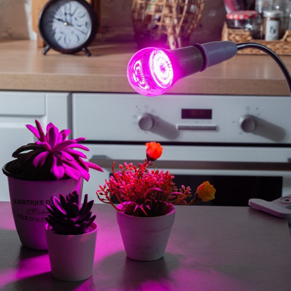 Лампа led-a60-15w/SPSB/e27/CL plp30gr лампа светодиодная для растений
