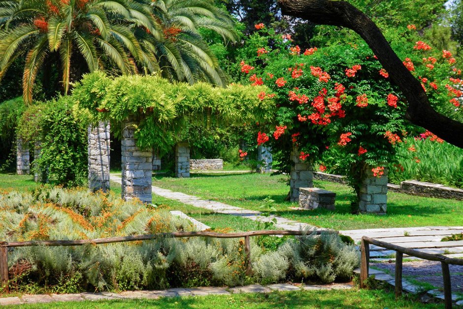 Сад Парадиз Никитский Ботанический сад