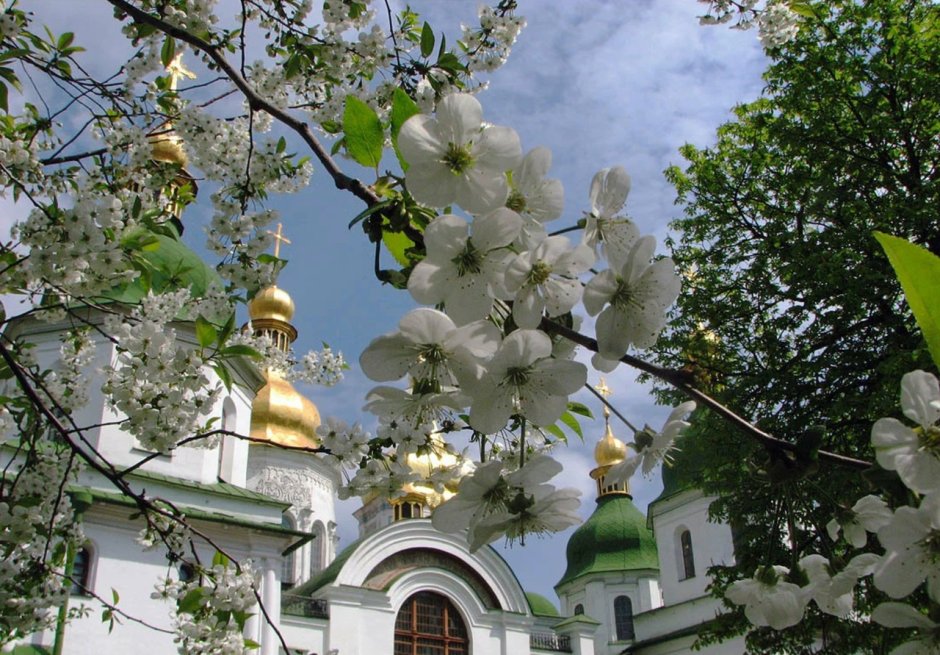 Храм Христа Спасителя Весна цветы